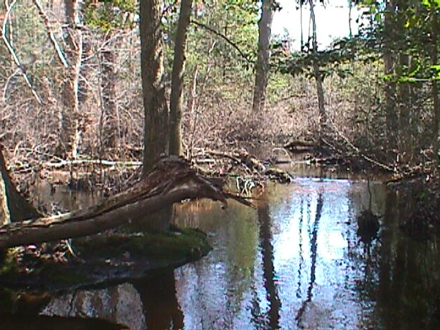Field photo showing stream conditions at site WIRH-111-R-2000-13_06