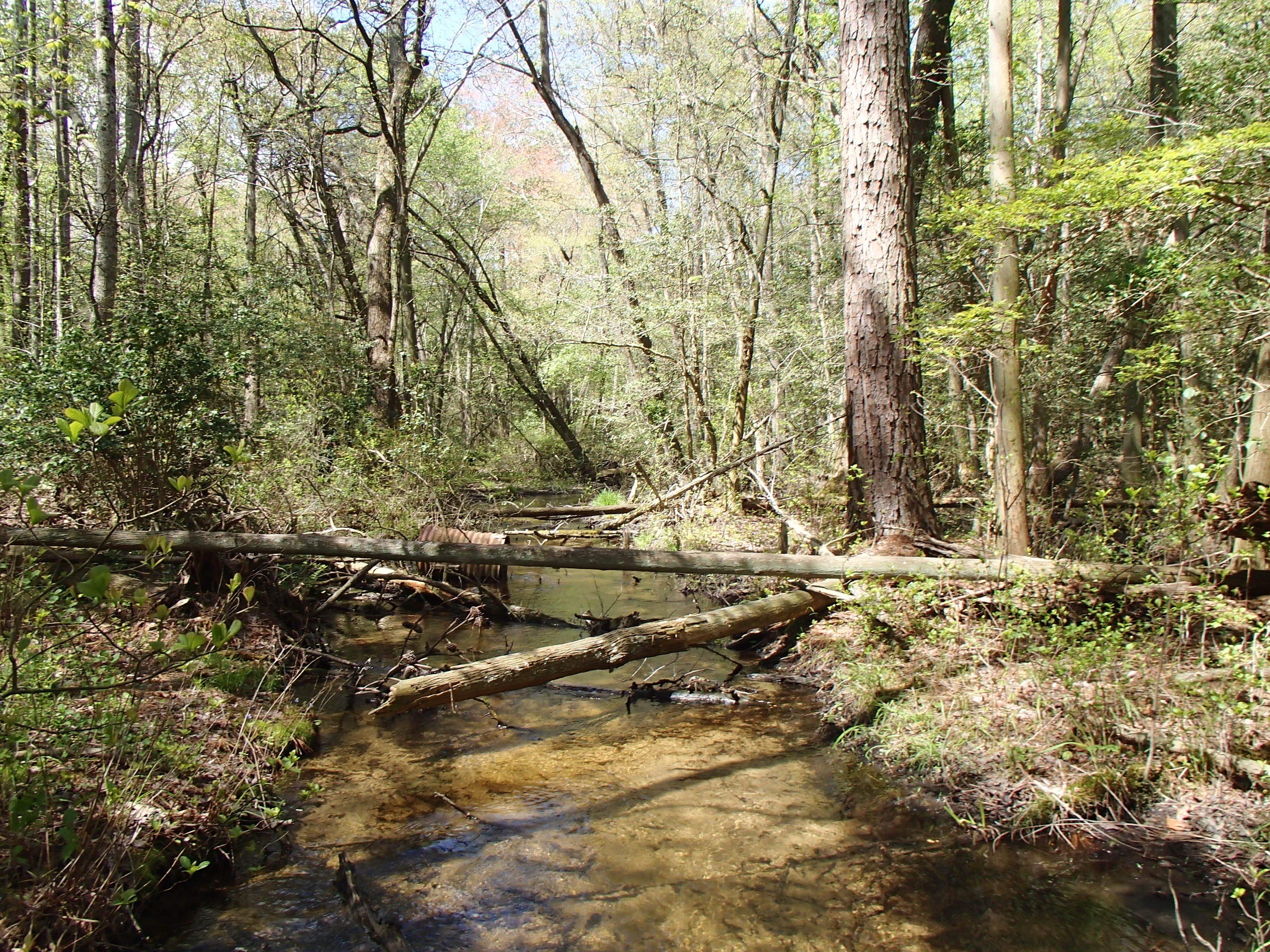 Field photo showing stream conditions at site WIRH-113-R-2015_Midpoint-upstream