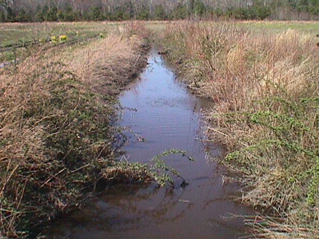 Field photo showing stream conditions at site WIRH-114-R-2000-13_09