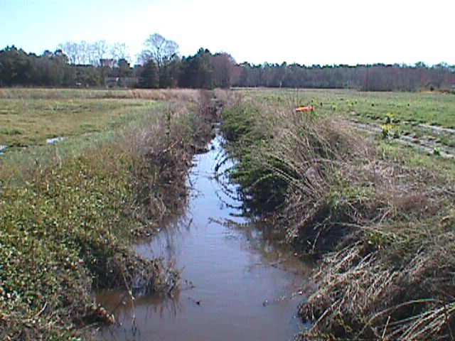 Field photo showing stream conditions at site WIRH-114-R-2000-13_10