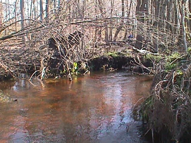 Field photo showing stream conditions at site WIRH-215-R-2000-13_01