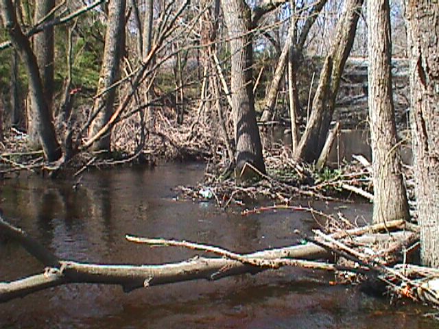 Field photo showing stream conditions at site WIRH-215-R-2000-13_02