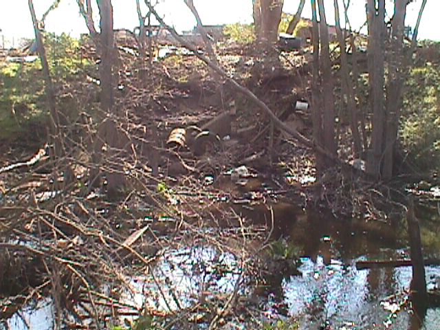 Field photo showing stream conditions at site WIRH-215-R-2000-13_03