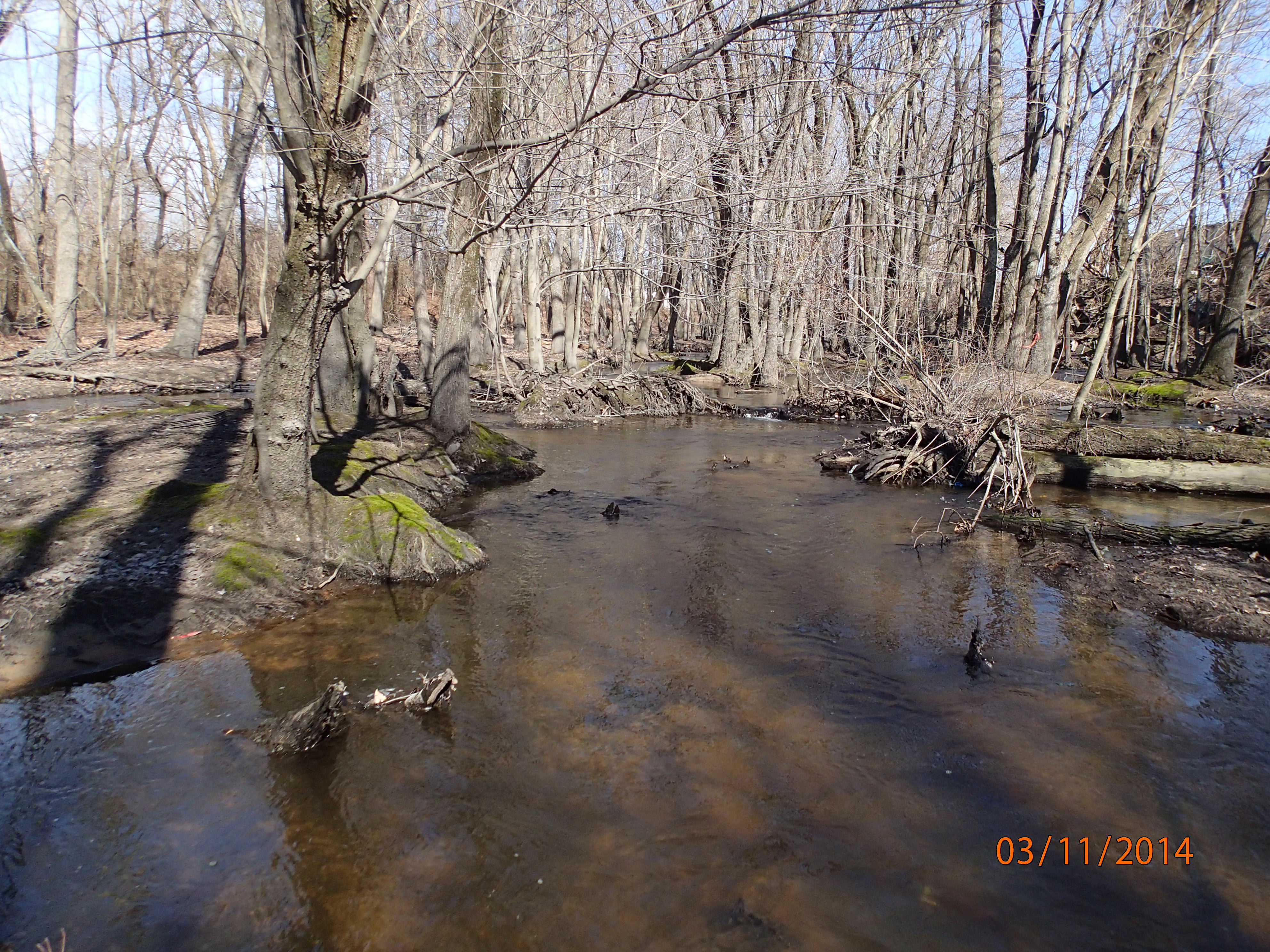 Field photo showing stream conditions at site WIRH-215-R-2014-MidpointUpstream
