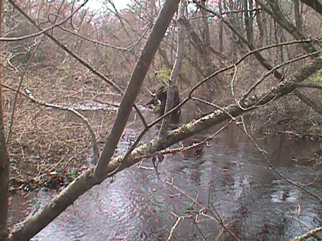 Field photo showing stream conditions at site WIRH-220-S-2000-11_01