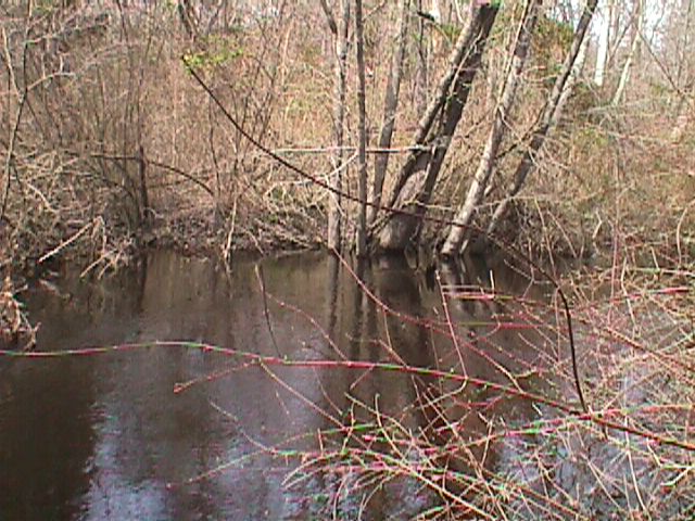 Field photo showing stream conditions at site WIRH-220-S-2000-11_02