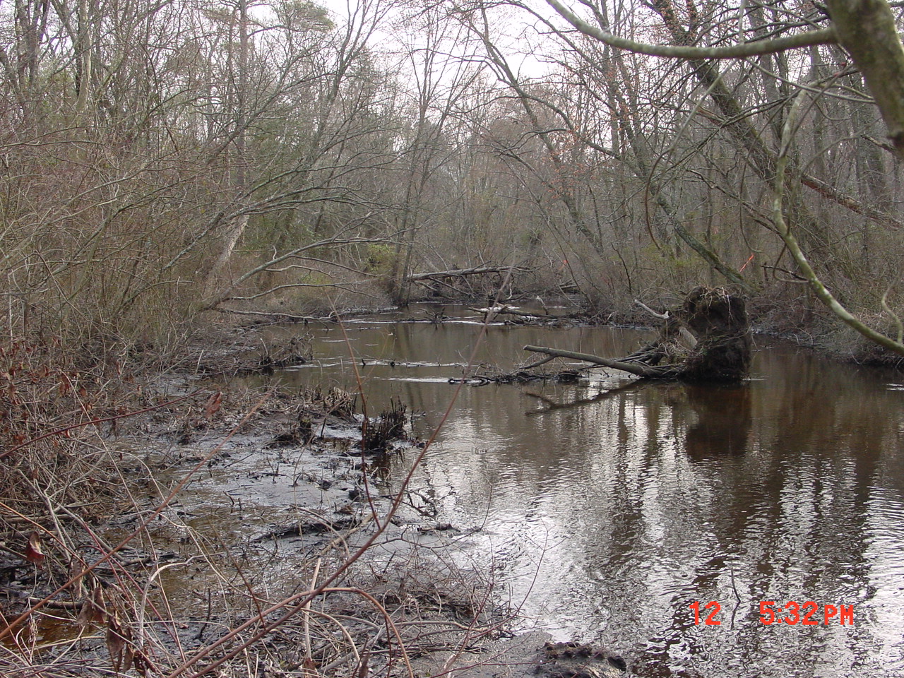 Field photo showing stream conditions at site WIRH-220-S-2001-1