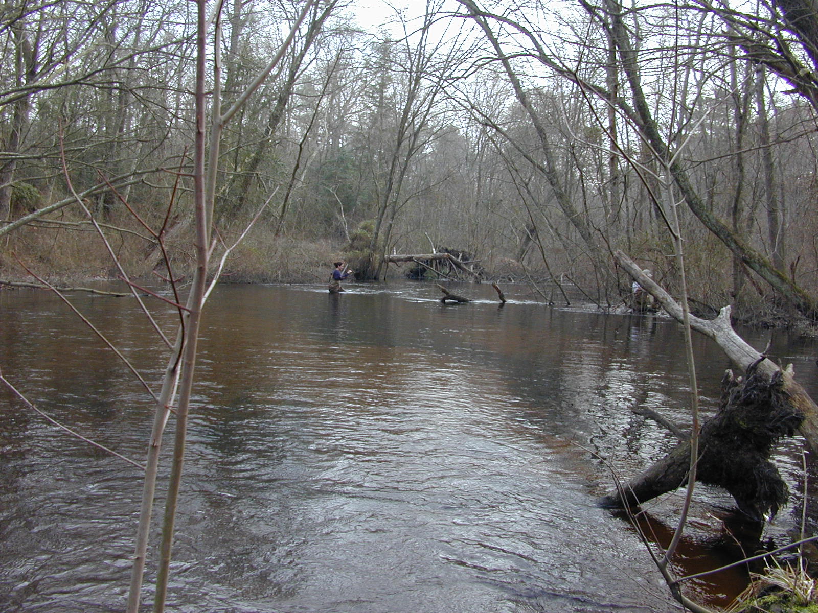 Field photo showing stream conditions at site WIRH-220-S-2003-0888
