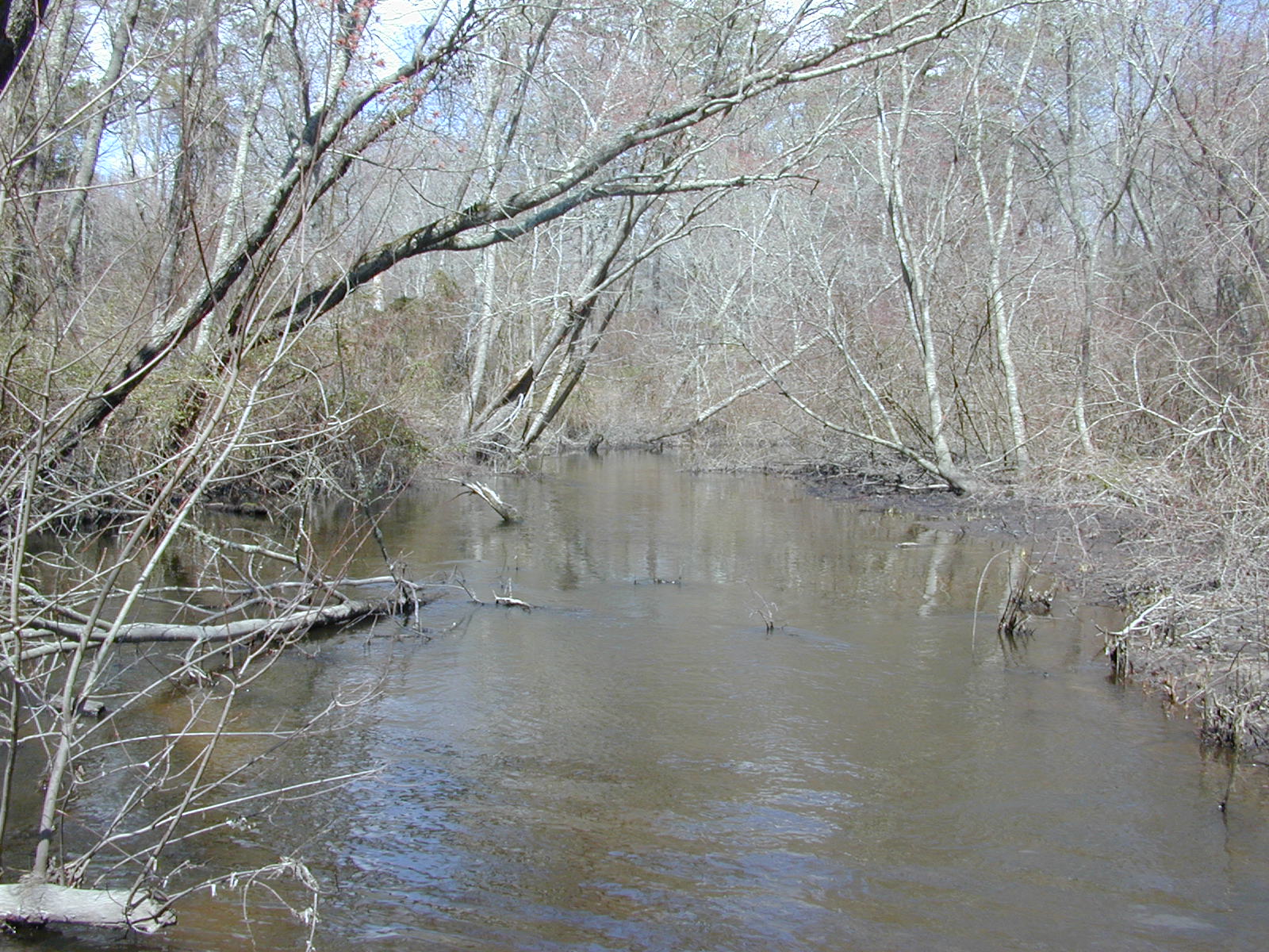 Field photo showing stream conditions at site WIRH-220-S-2004-2
