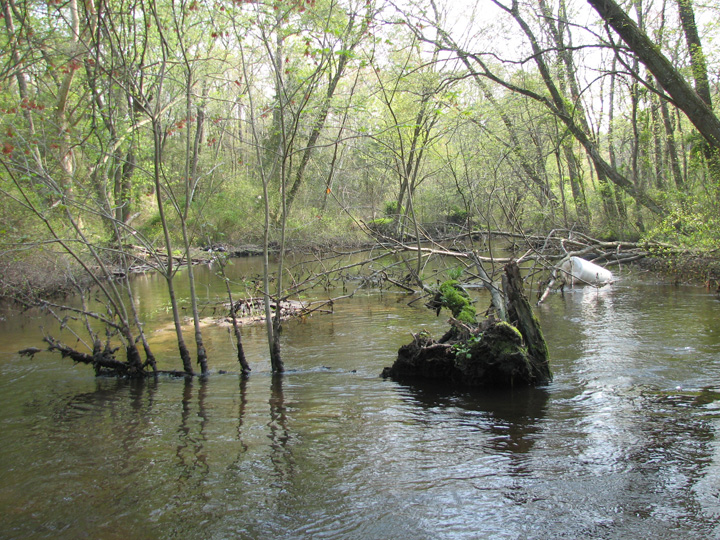 Field photo showing stream conditions at site WIRH-220-S-2007-2
