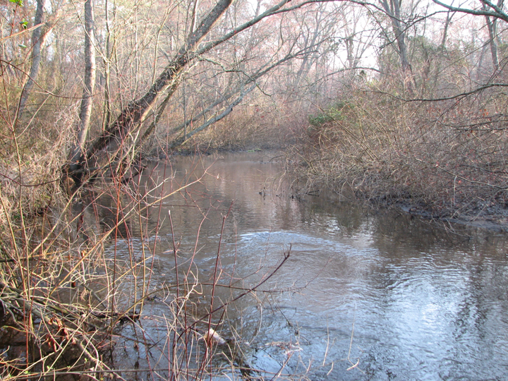 Field photo showing stream conditions at site WIRH-220-S-2008-1