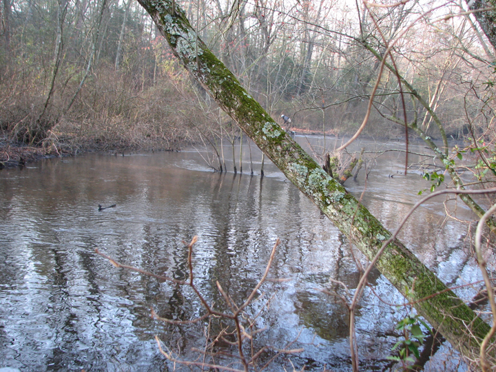 Field photo showing stream conditions at site WIRH-220-S-2008-2