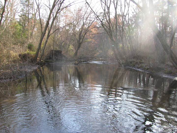 Field photo showing stream conditions at site WIRH-220-S-2009-1