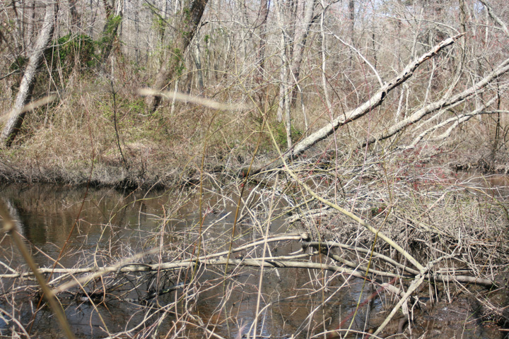 Field photo showing stream conditions at site WIRH-220-S-2010-1