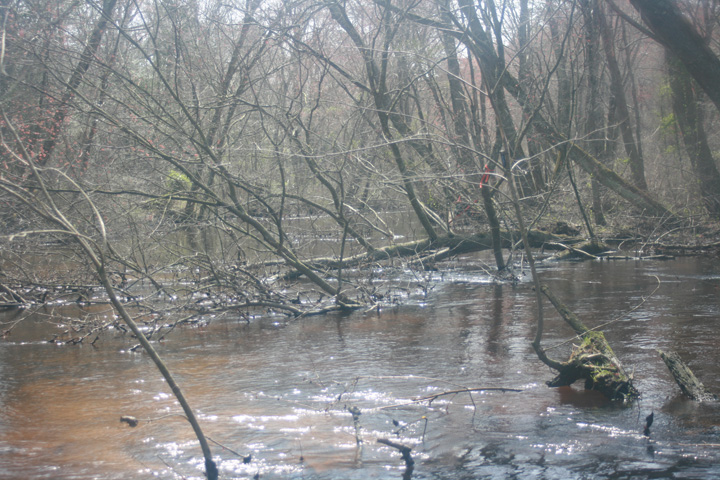Field photo showing stream conditions at site WIRH-220-S-2010-2
