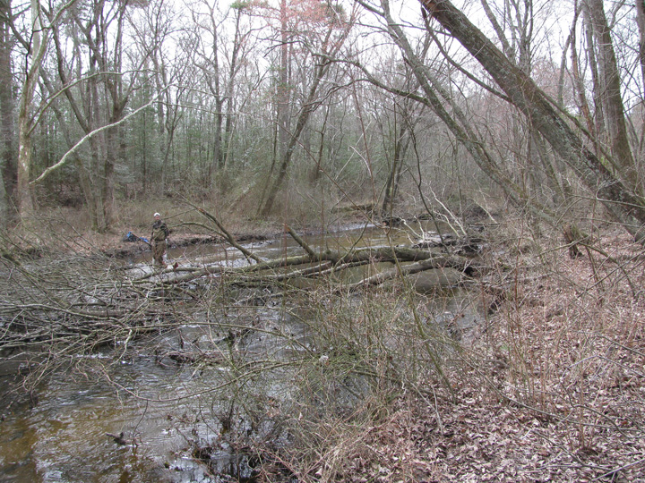 Field photo showing stream conditions at site WIRH-220-S-2011-1