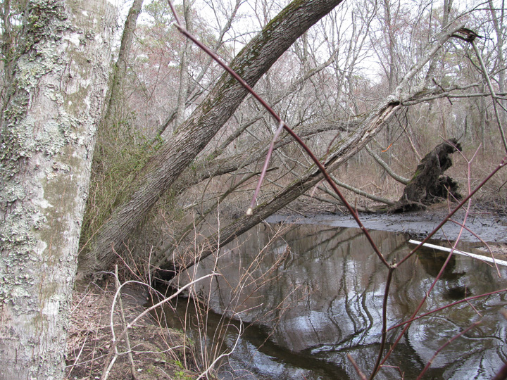Field photo showing stream conditions at site WIRH-220-S-2011-2