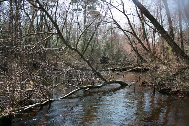 Field photo showing stream conditions at site WIRH-220-S-2012-MidpointPdownstream