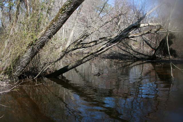 Field photo showing stream conditions at site WIRH-220-S-2012-MidpointPupstream