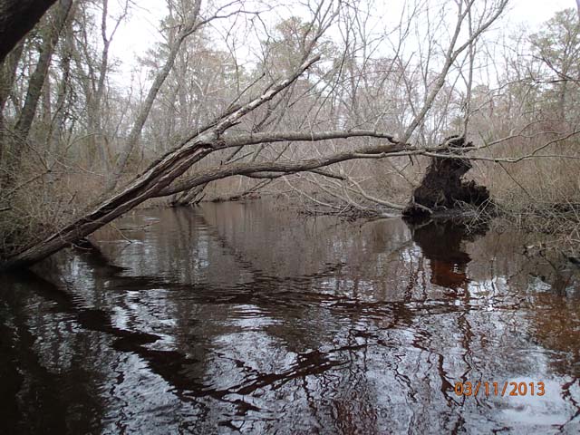 Field photo showing stream conditions at site WIRH-220-S-2013-MidpointPupstream