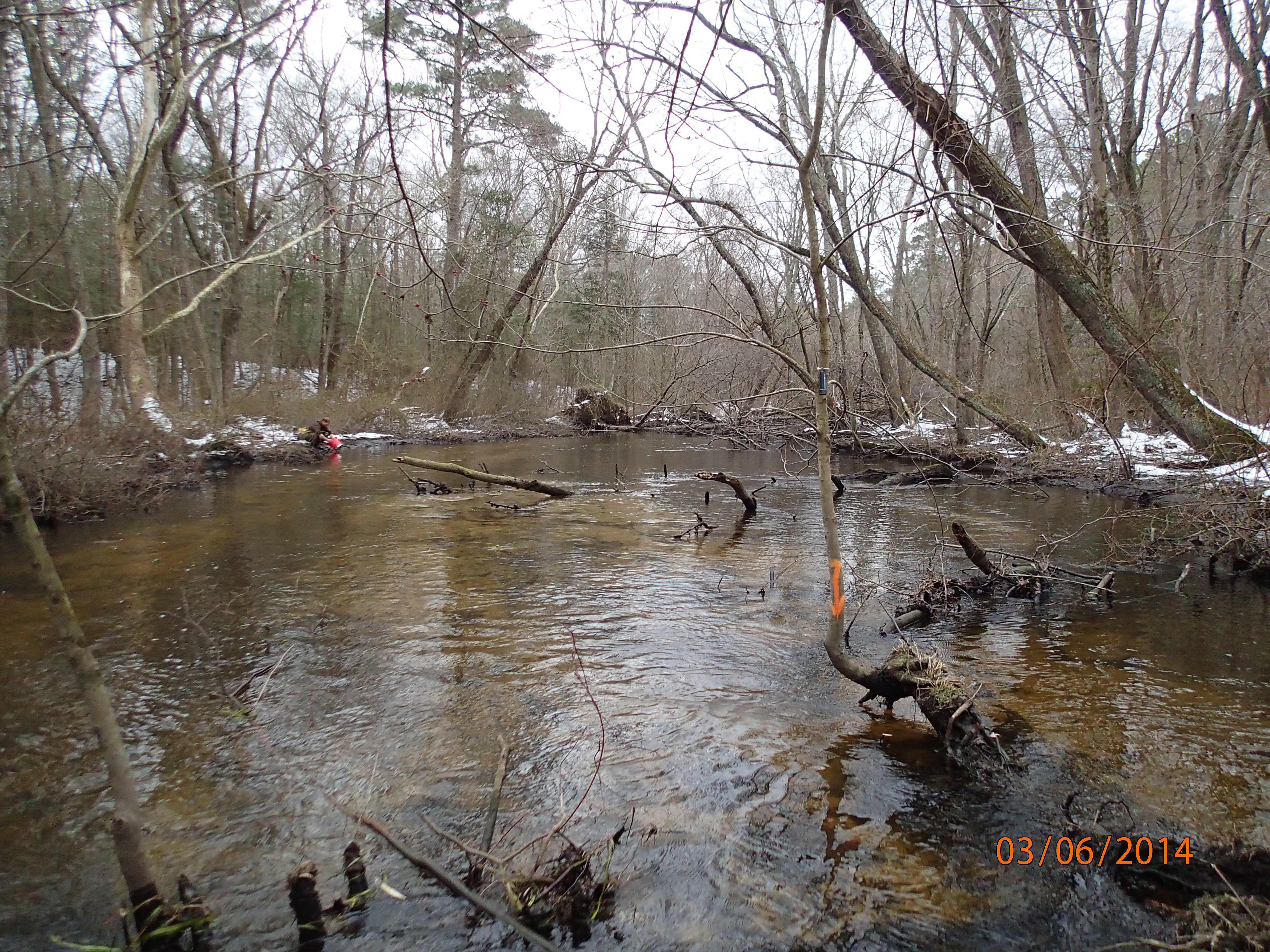 Field photo showing stream conditions at site WIRH-220-S-2014-MidpointDownstream