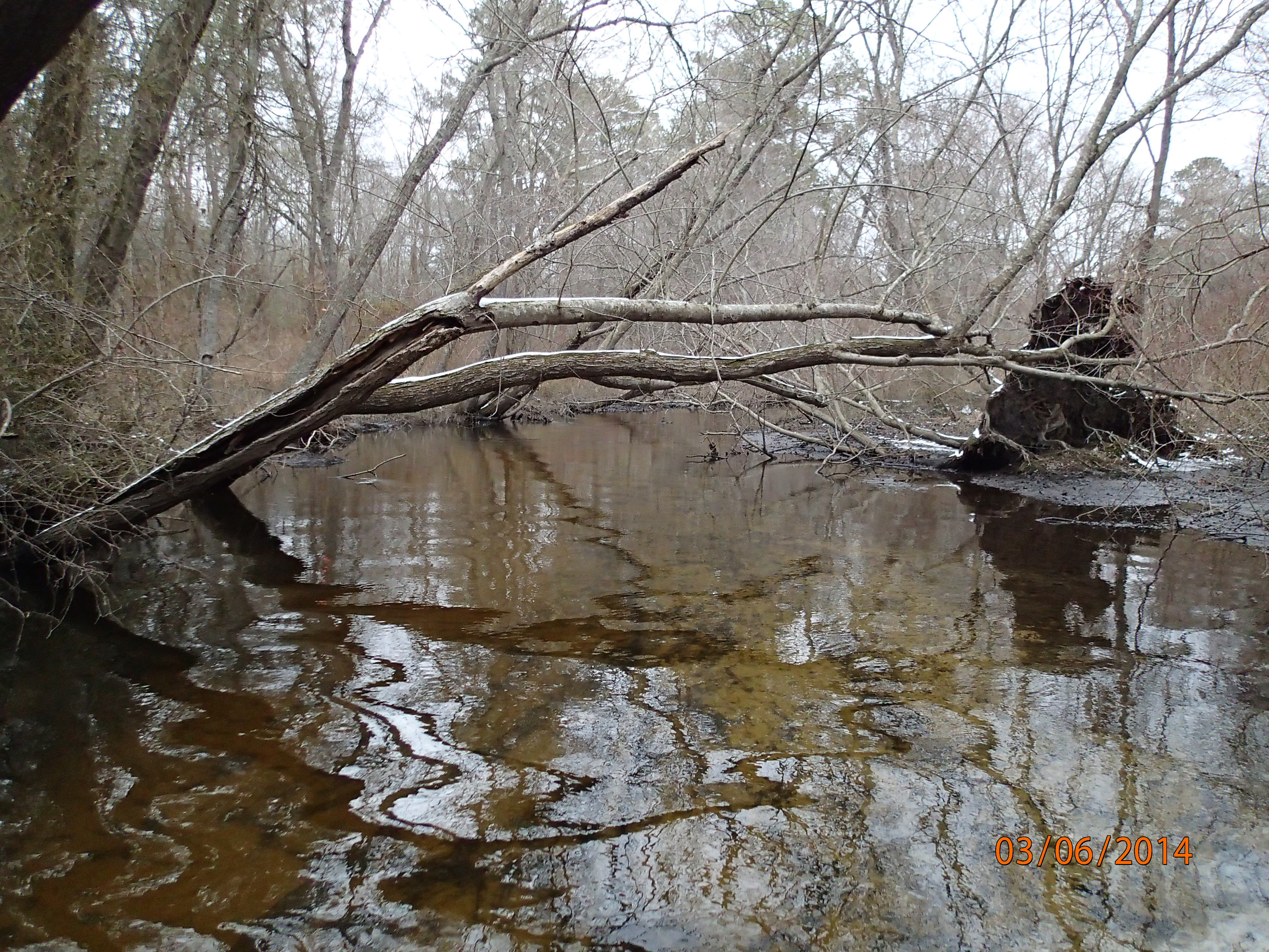 Field photo showing stream conditions at site WIRH-220-S-2014-MidpointUpstream