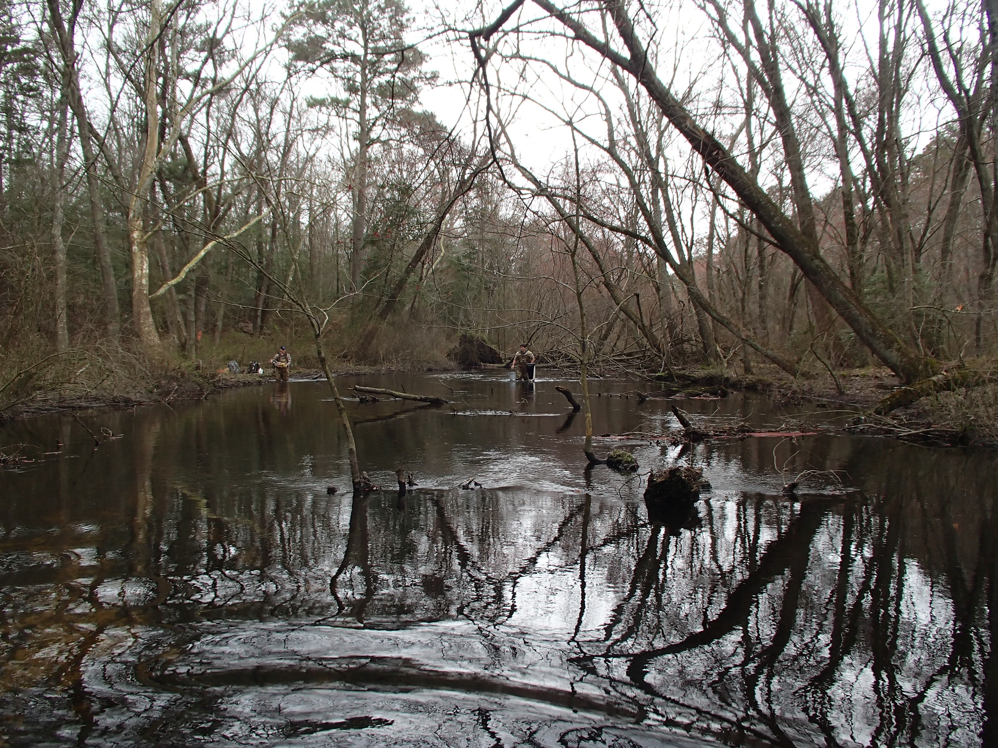 Field photo showing stream conditions at site WIRH-220-S-2015_at-P-looking-downstream