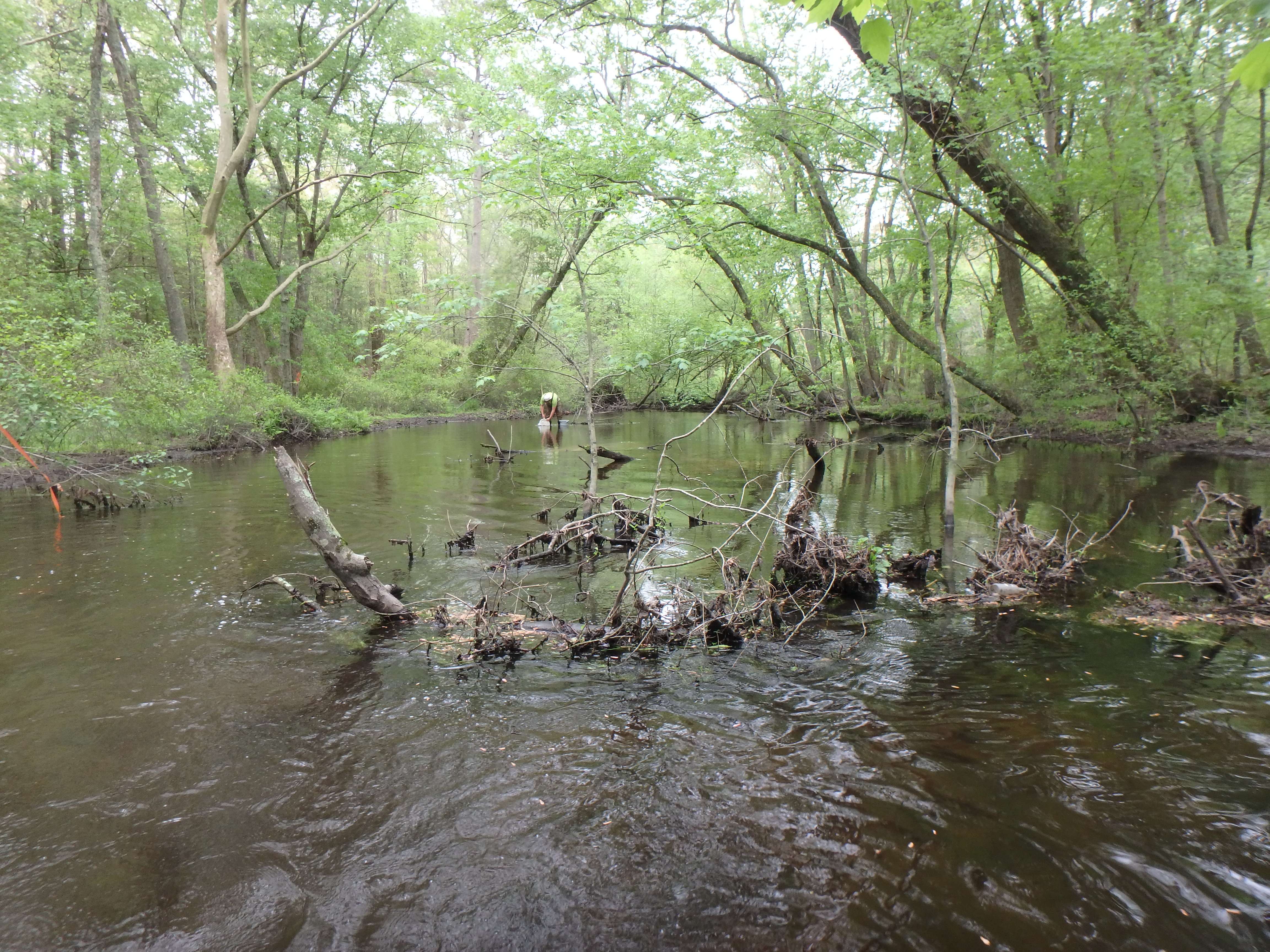 Field photo showing stream conditions at site WIRH-220-S-2017-@'P'LookingDownstream