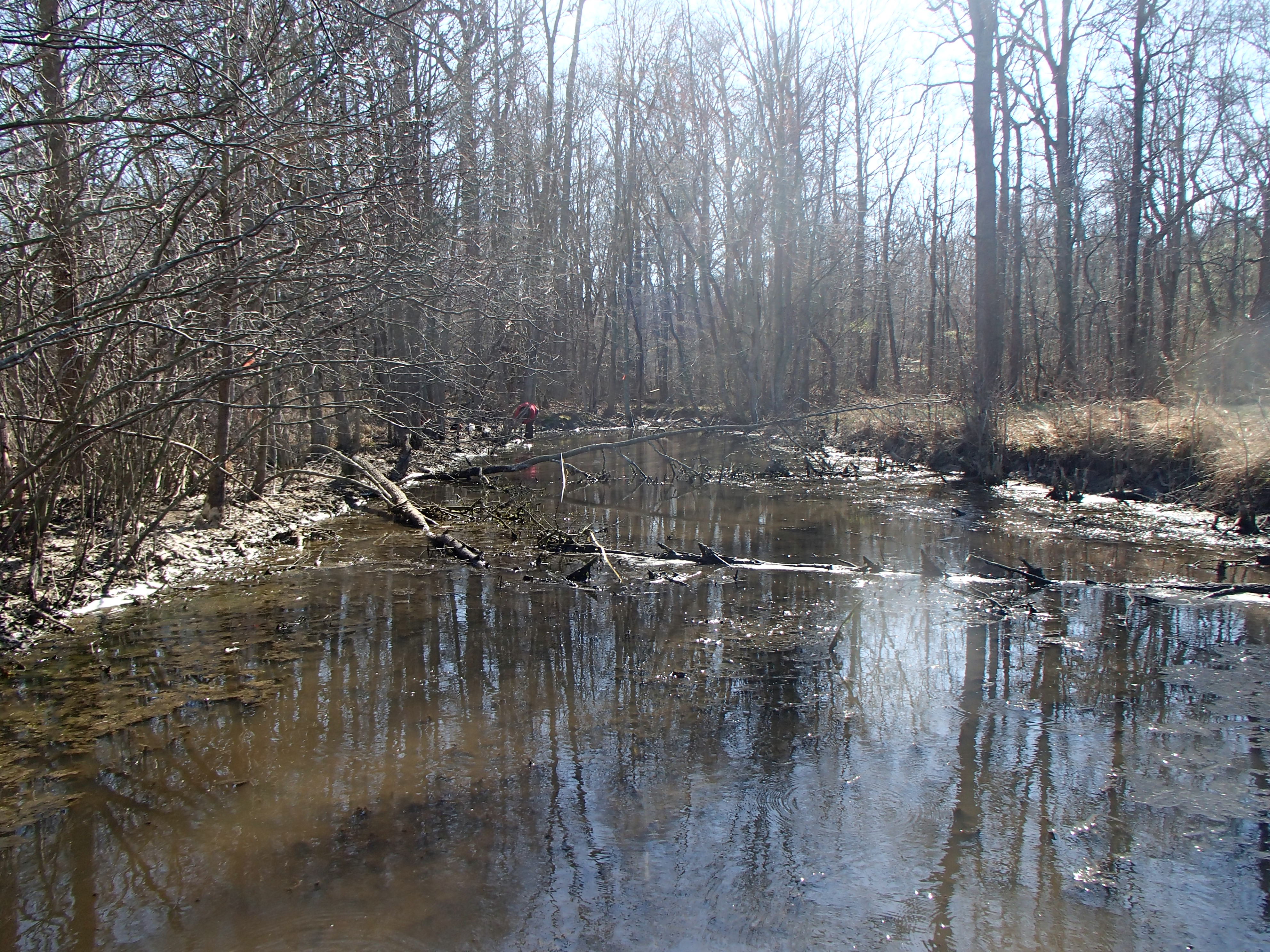 Field photo showing stream conditions at site WYER-104-R-2017-MidpointLookingDownstream