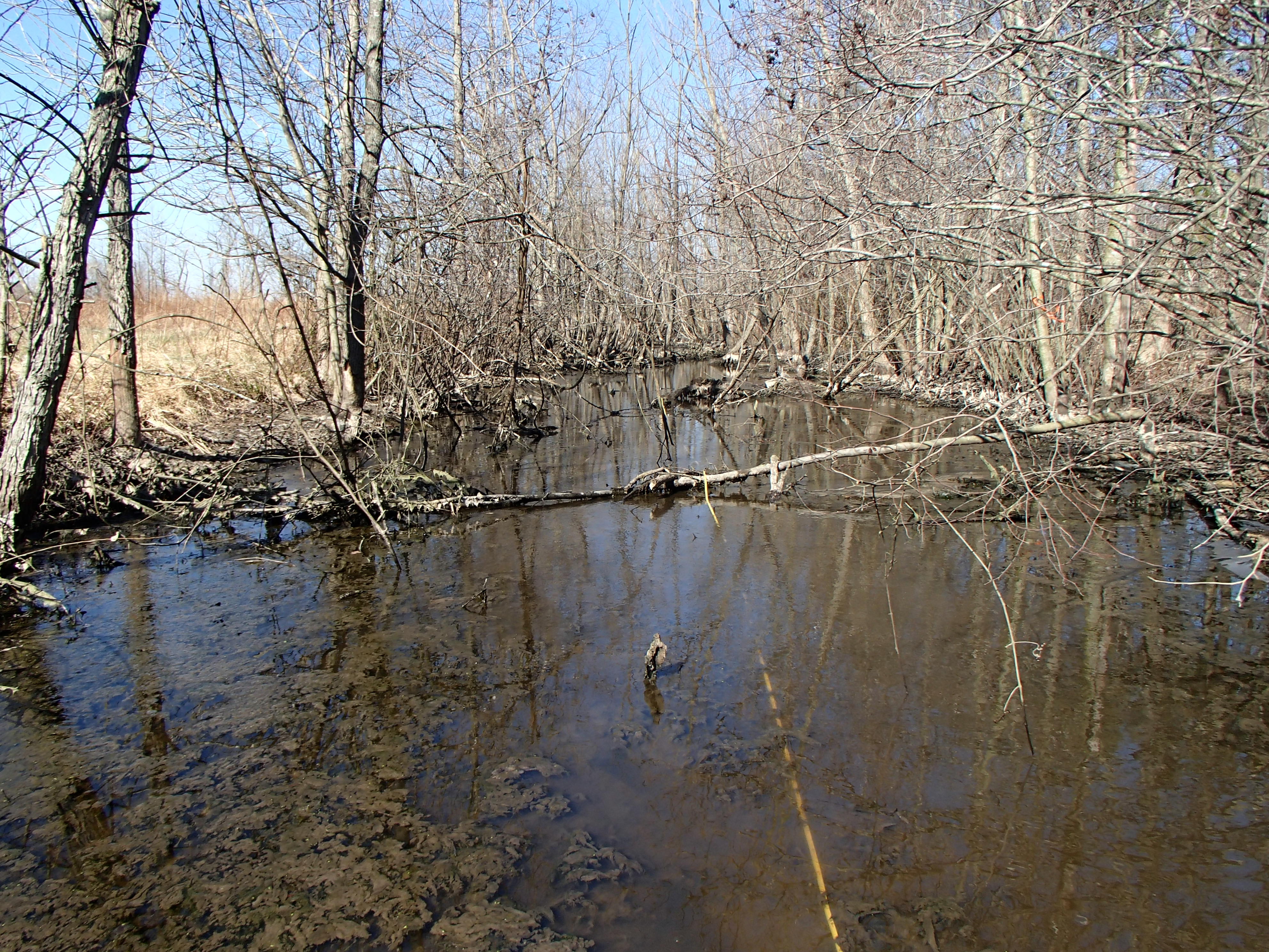 Field photo showing stream conditions at site WYER-104-R-2017-MidpointLookingUpstream