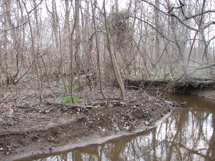 Field photo showing stream conditions at site WYER-105-R-2007-1