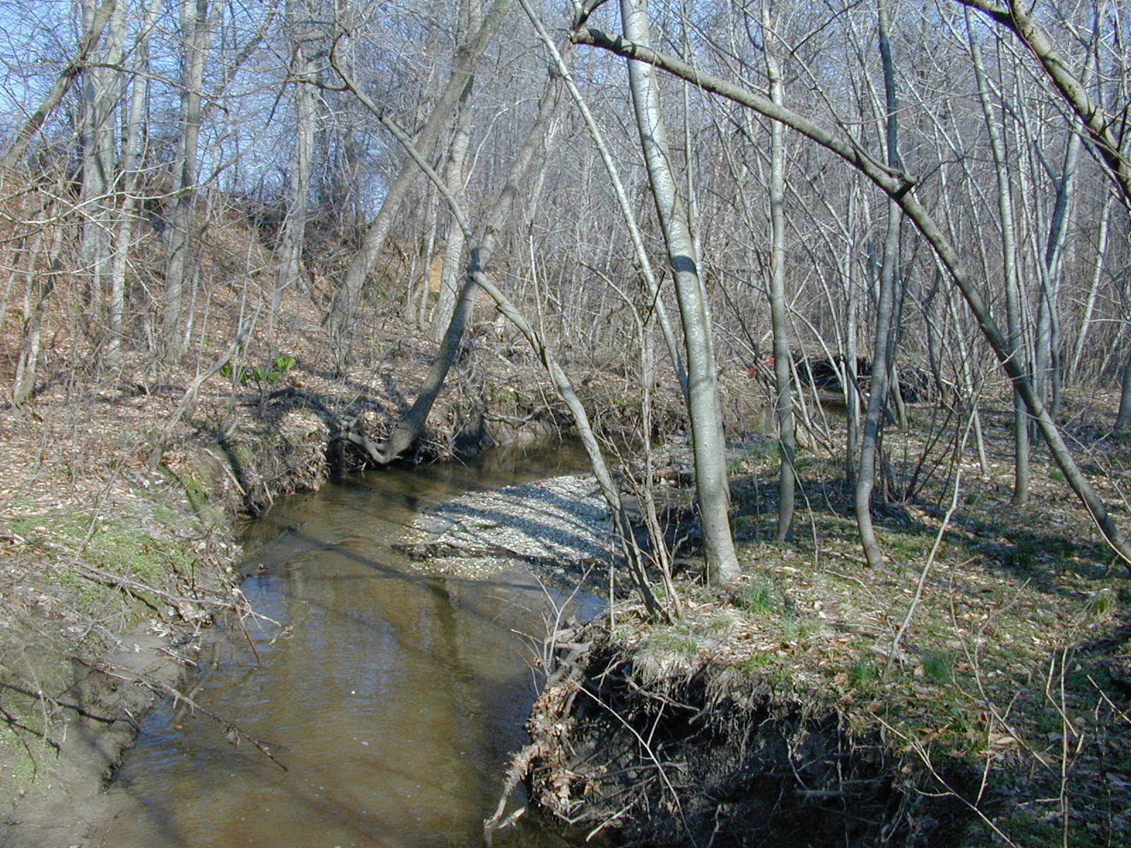 Field photo showing stream conditions at site WYER-113-R-2003-0910