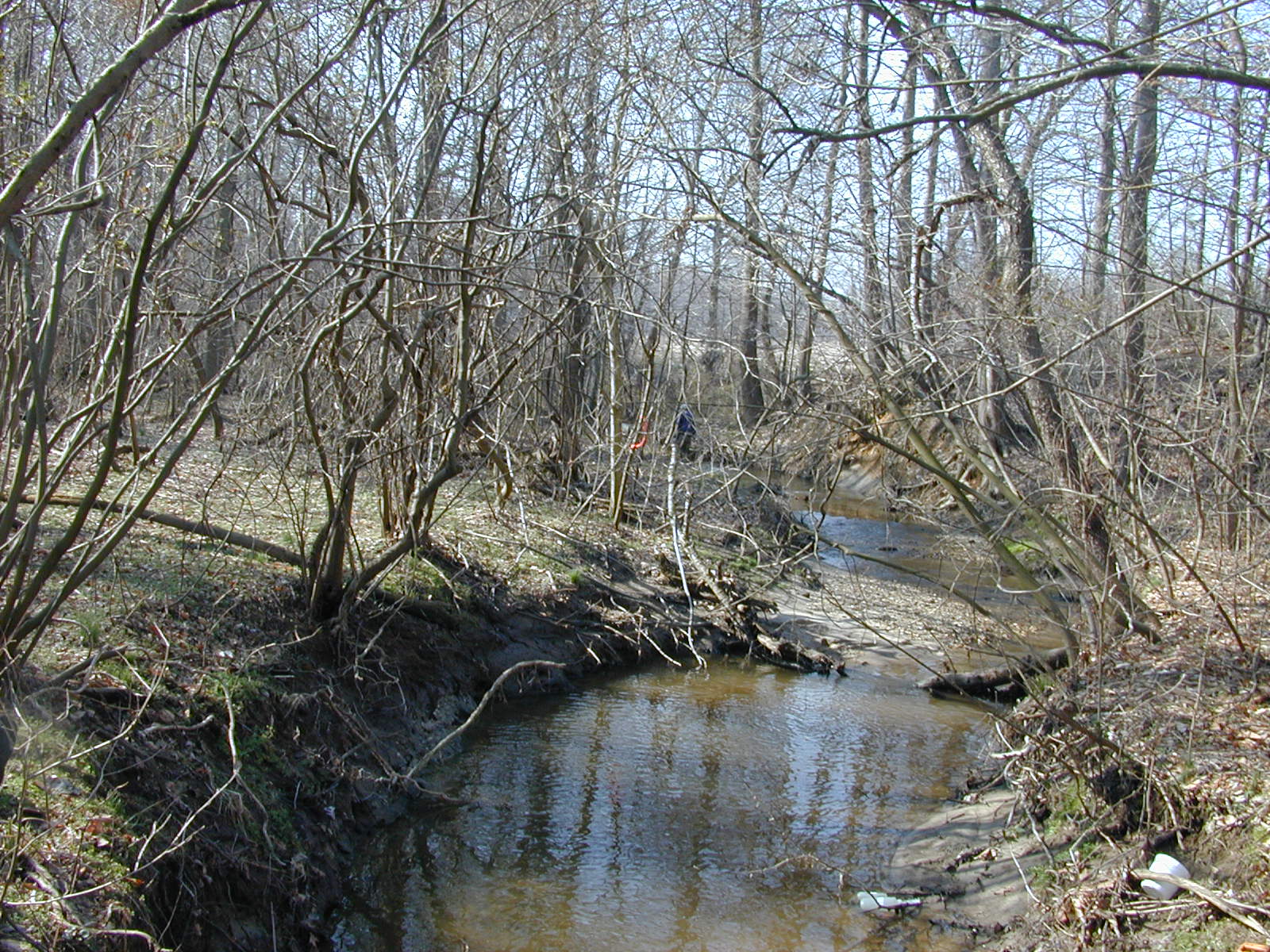 Field photo showing stream conditions at site WYER-113-R-2003-0911