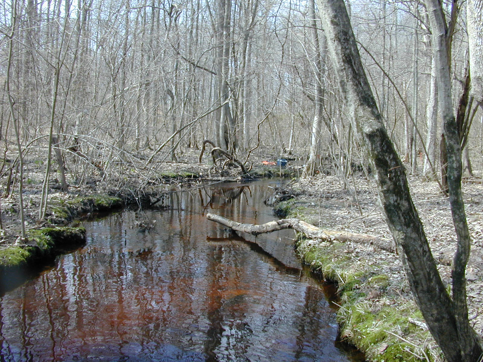 Field photo showing stream conditions at site WYER-119-R-2003-0916