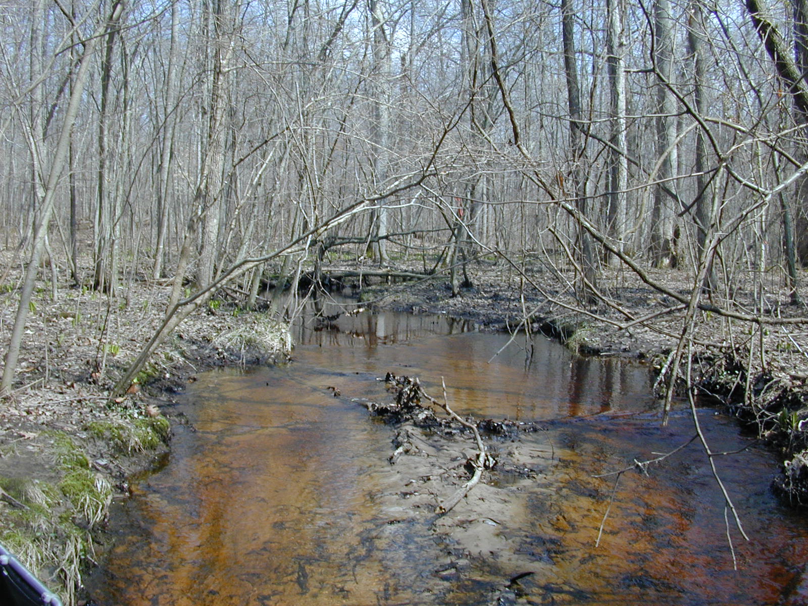 Field photo showing stream conditions at site WYER-119-R-2003-0917