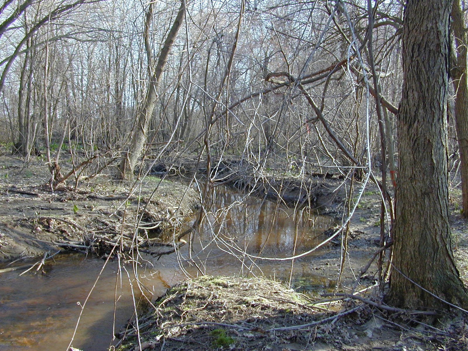 Field photo showing stream conditions at site WYER-120-R-2003-0921