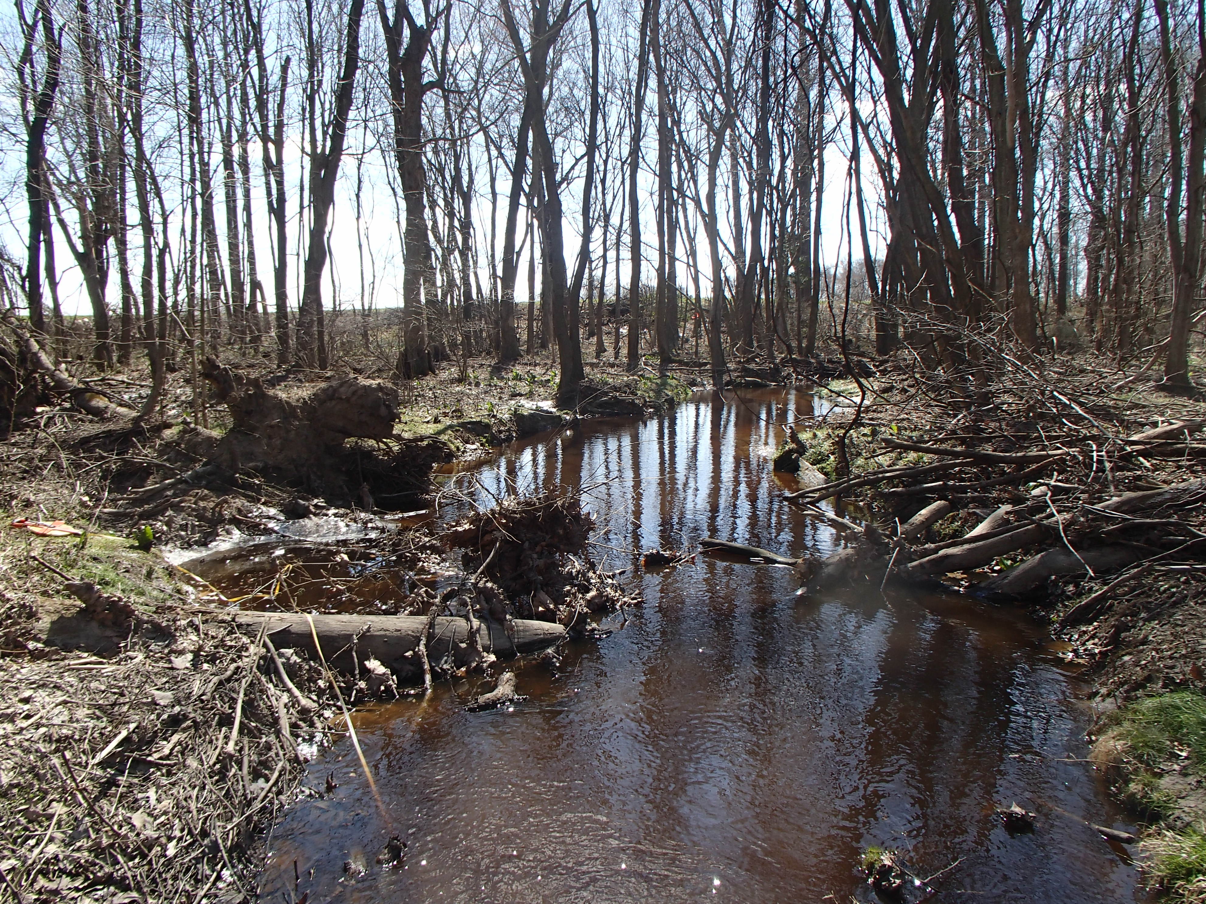 Field photo showing stream conditions at site WYER-120-R-2017-MidpointFacingDownstream