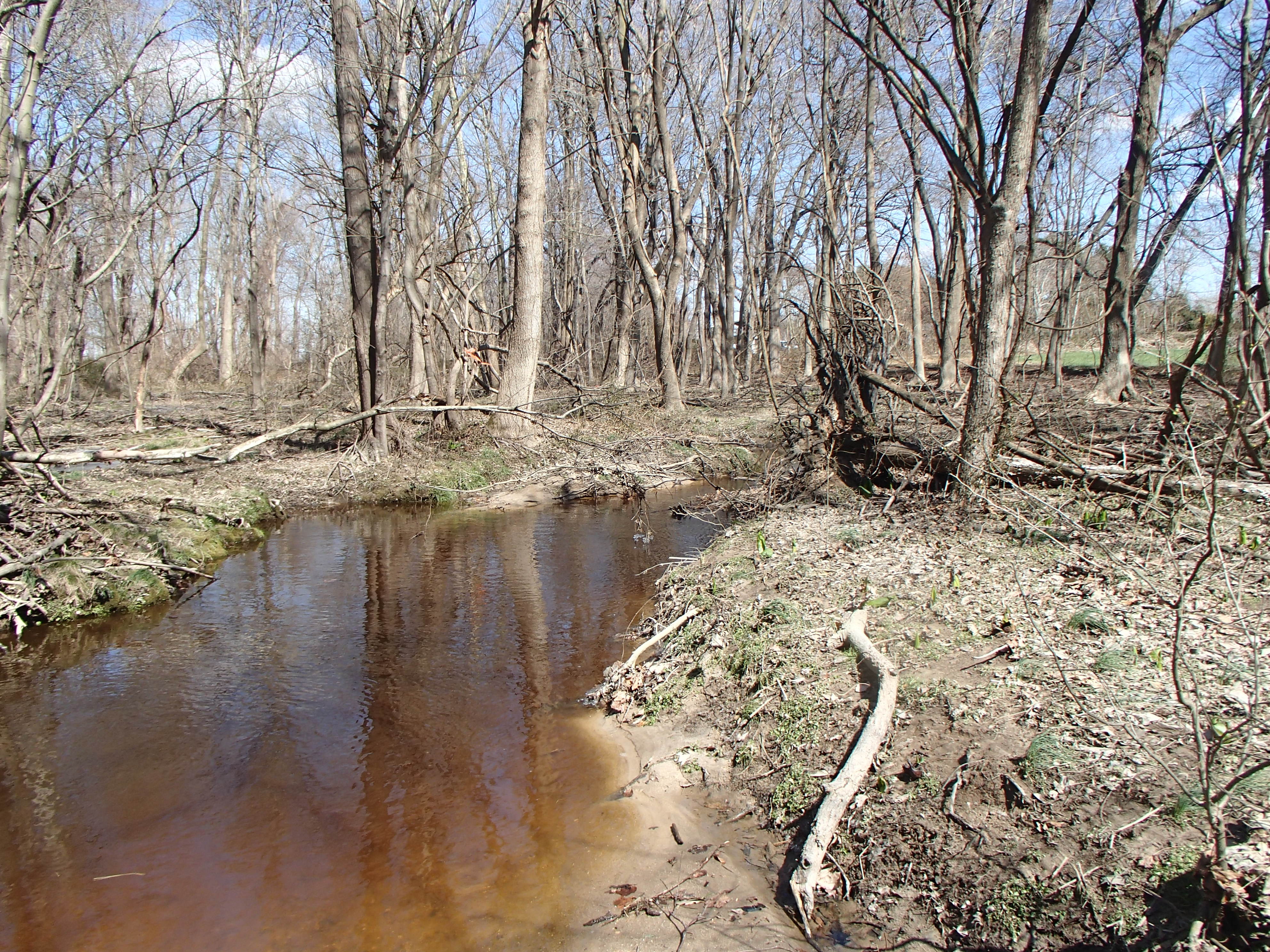 Field photo showing stream conditions at site WYER-120-R-2017-MidpointFacingUpstream