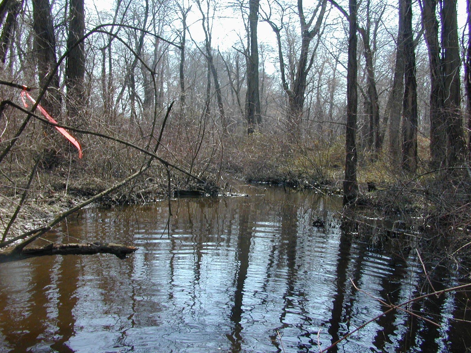 Field photo showing stream conditions at site WYER-201-R-2003-0919