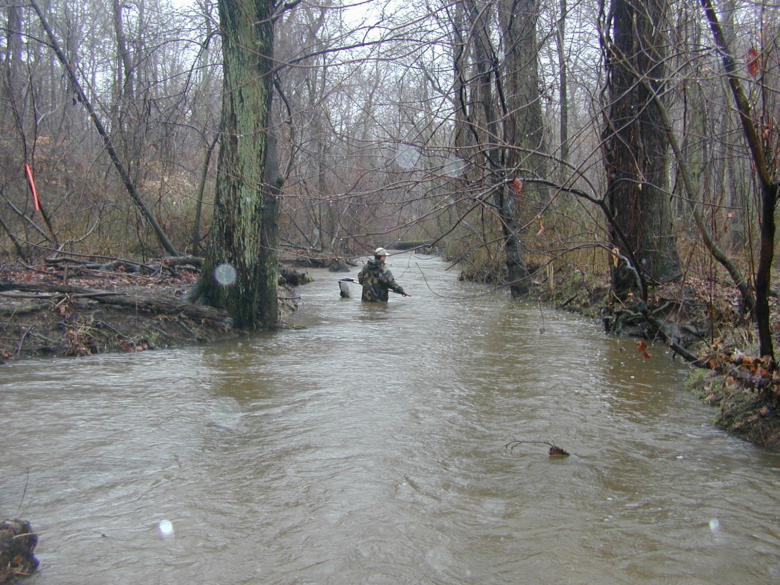 Field photo showing stream conditions at site WYER-206-R-2003-0908