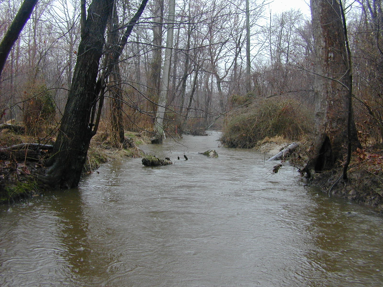 Field photo showing stream conditions at site WYER-206-R-2003-0909