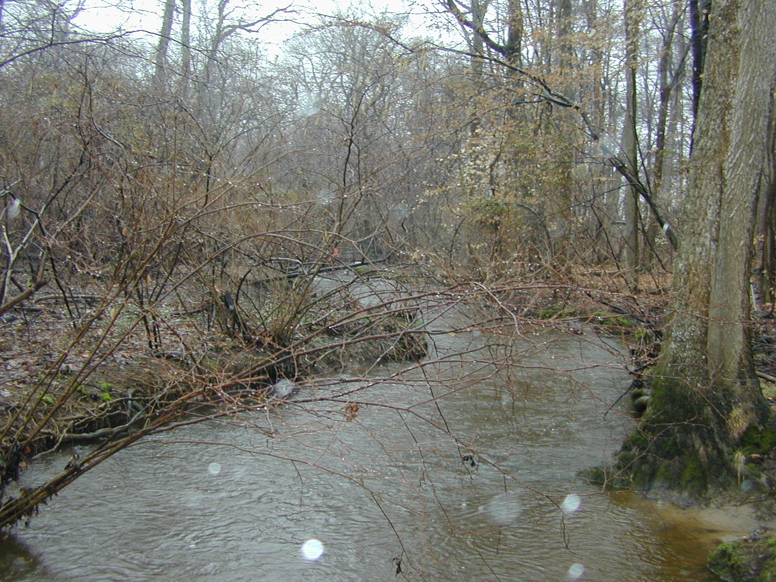 Field photo showing stream conditions at site WYER-208-R-2003-0906