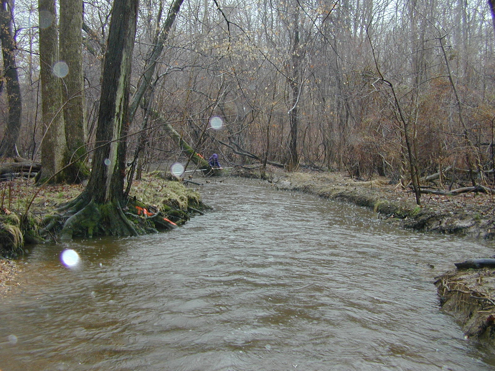 Field photo showing stream conditions at site WYER-208-R-2003-0907