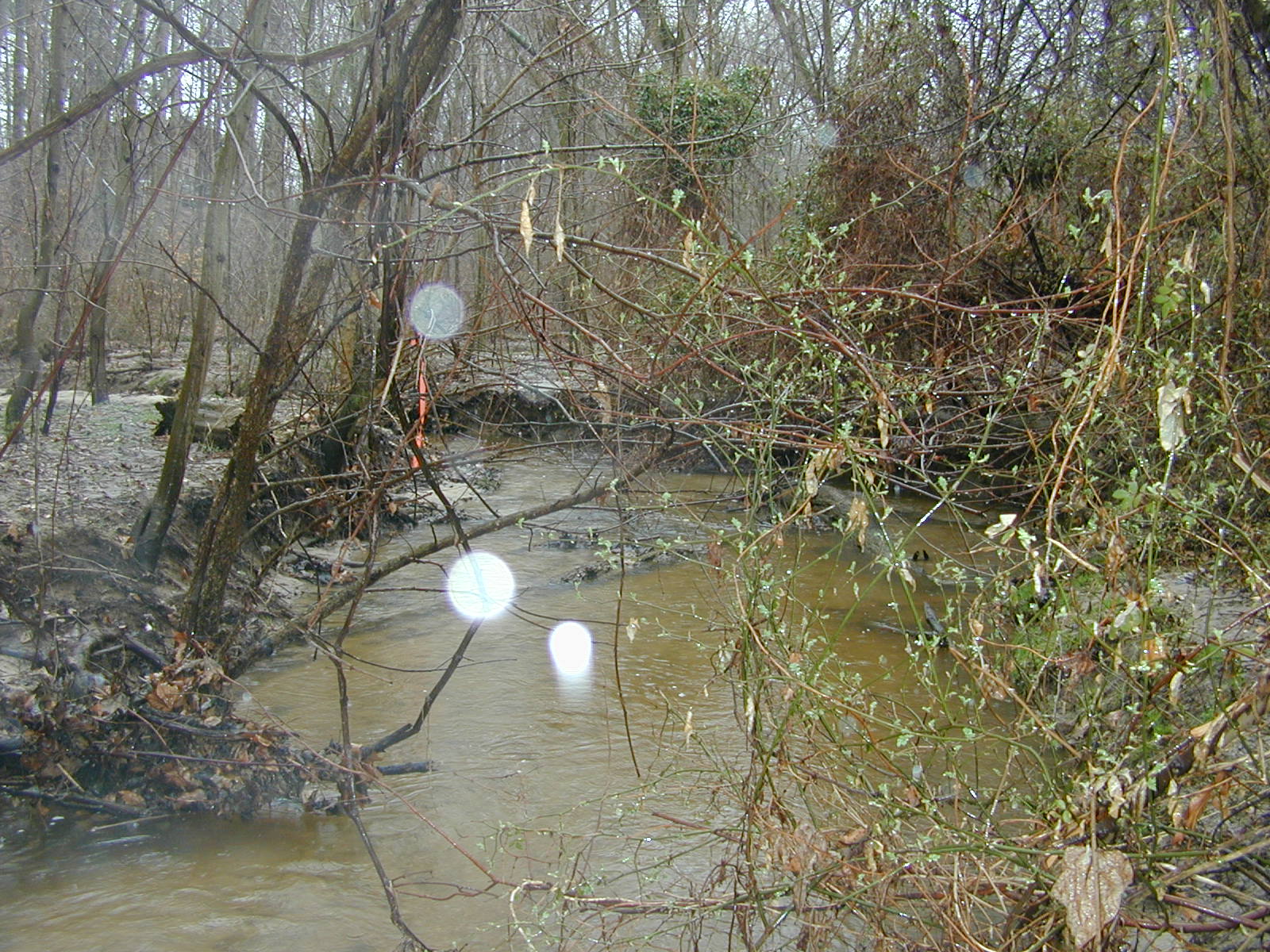 Field photo showing stream conditions at site WYER-216-R-2003-0900