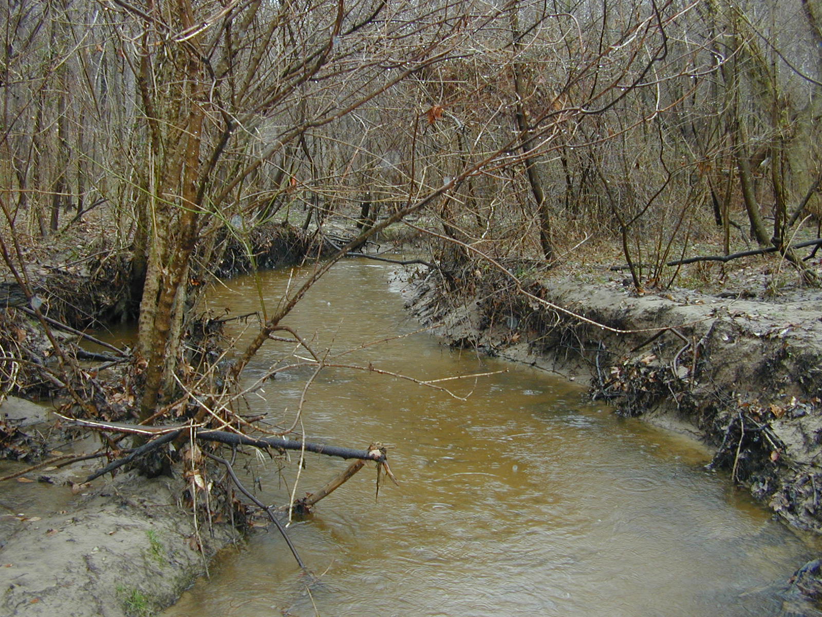Field photo showing stream conditions at site WYER-216-R-2003-0901