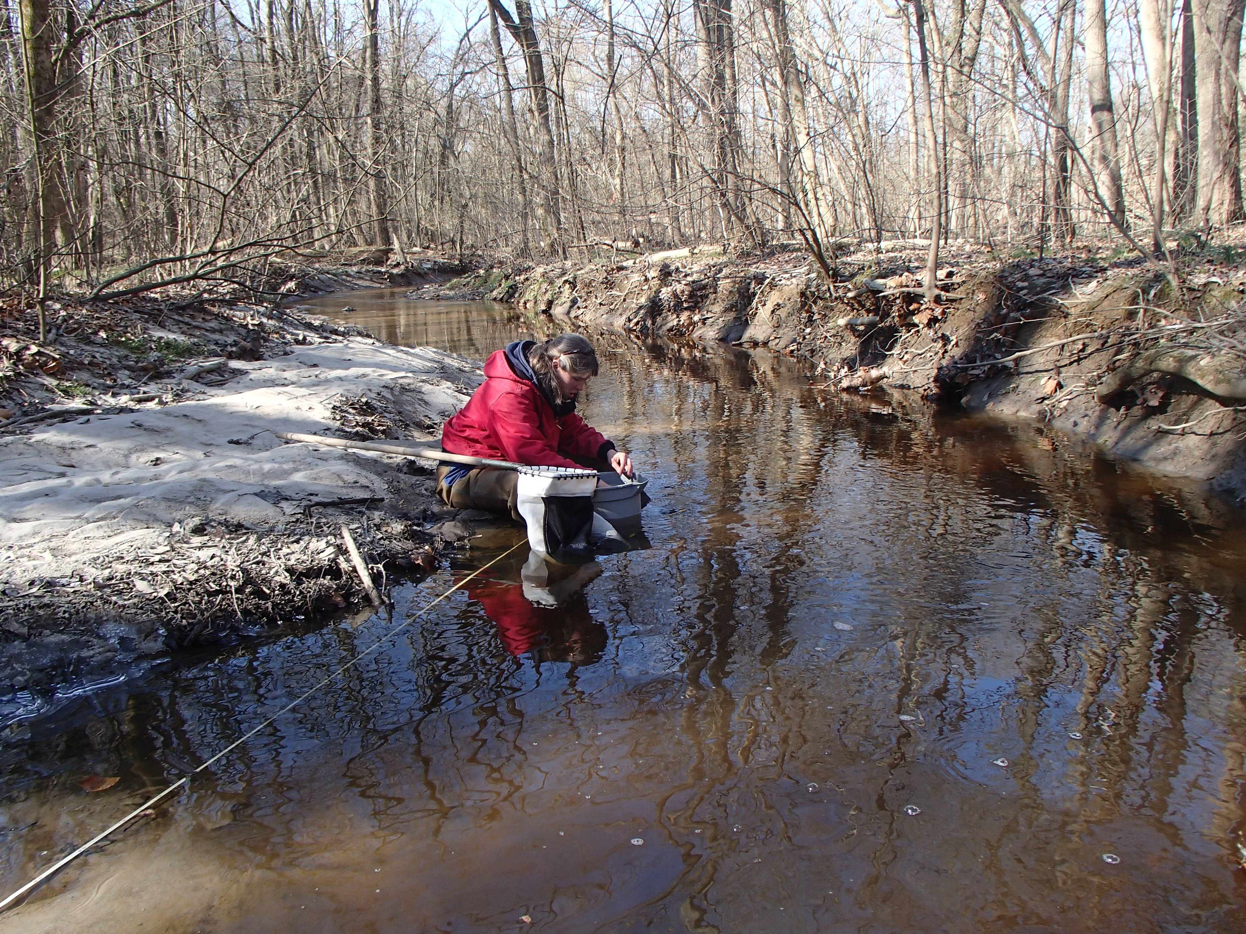 Field photo showing stream conditions at site WYER-216-R-2017-MidpointFacingDownstream