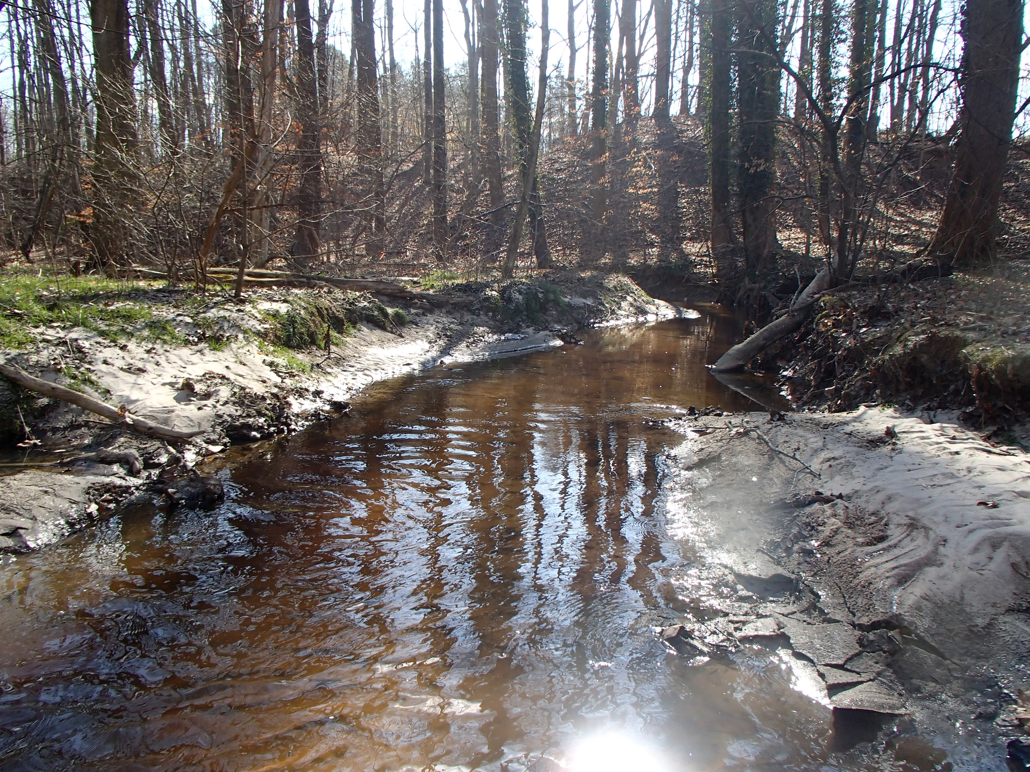 Field photo showing stream conditions at site WYER-216-R-2017-MidpointFacingUpstream