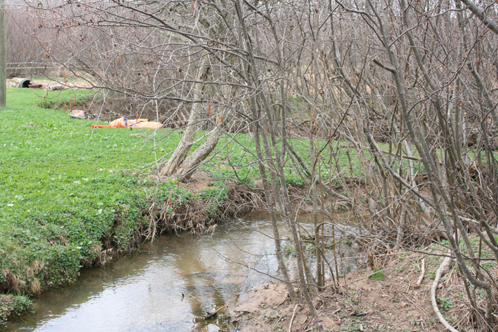 Field photo showing stream conditions at site YOUG-101-A-2010-1