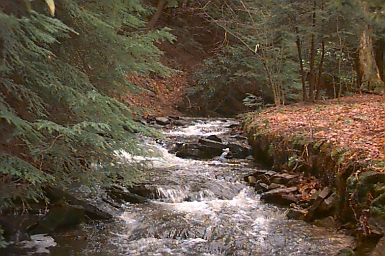 Field photo showing stream conditions at site YOUG-101-C-2000-02