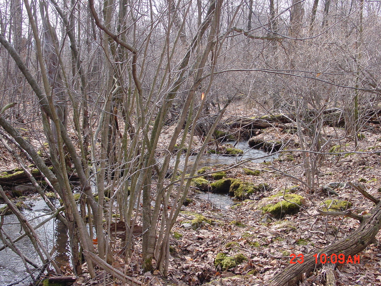 Field photo showing stream conditions at site YOUG-101-R-2001-1